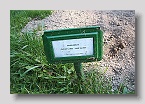 Hopwood-Cemetery-317