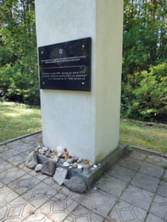 201908Yoniskelis7.jpg