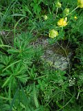 Yasinya-tstone-0466