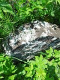 Yasinya-tstone-0640