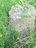 Yasinya-tstone-0872