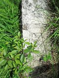 Yasinya-tstone-0912