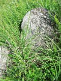 Yasinya-tstone-0913