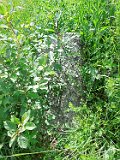 Yasinya-tstone-0918