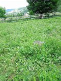 Yasinya-tstone-0944