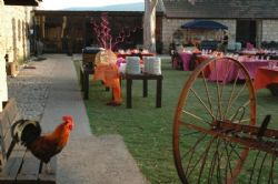 farm display