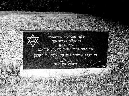 For our sister -
Reizele Berzaner  1924-1941-
And for her two dear friends-
You will forever be in our hearts-
  With love   Dina'le and Mute