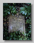 Zaluzhzhia-Cemetery-stone-006