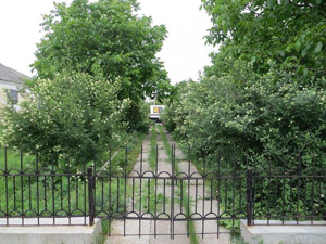 Second Mass Gravesite